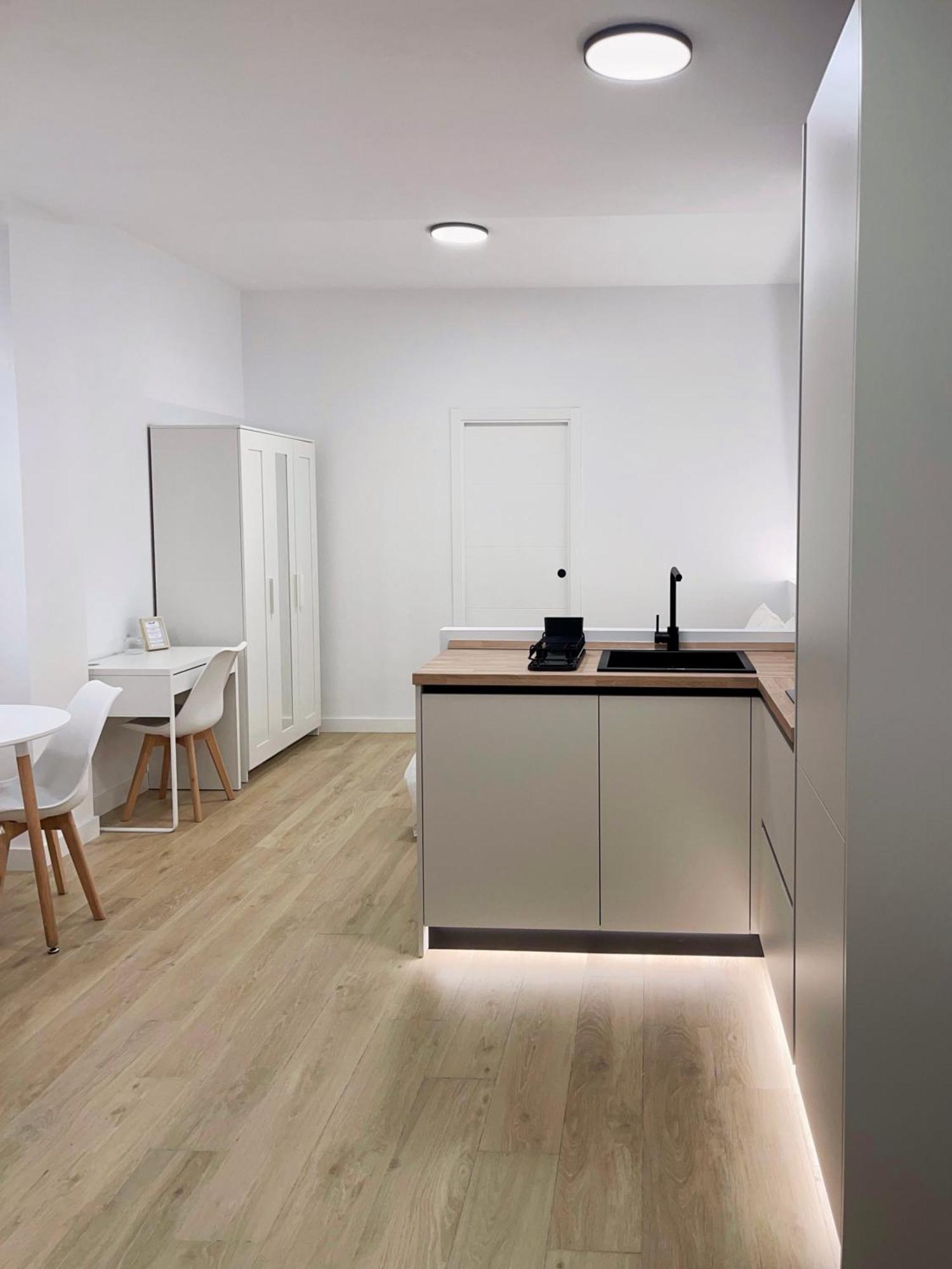 Apartment Loft Carlos Iii L1b